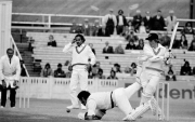 Team India