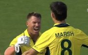 David Warner and Mitchell Marsh