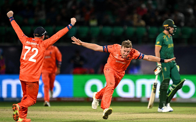 SA vs NED